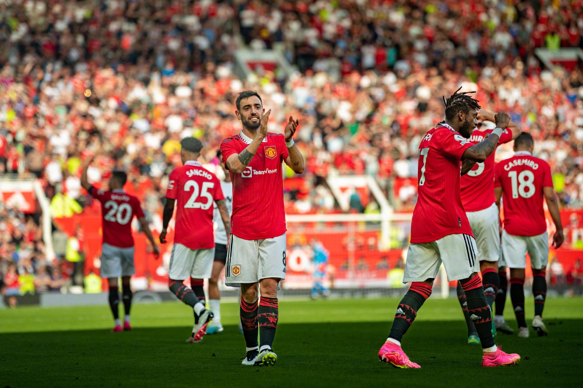 了新希望 了新希望